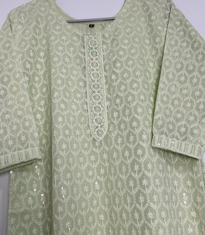 Elegant pastel green chikankari kurta