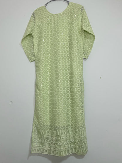 Elegant pastel green chikankari kurta